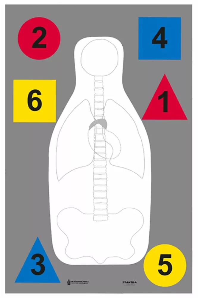 ACTION TARGET INC Anatomy & Command Training Silhouette Paper Target, 23 x 35 in, Box of 100, DTANTQA100