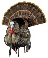 Avian X Avxavx8108 Hdr Strutter Turkey Species Multi Color