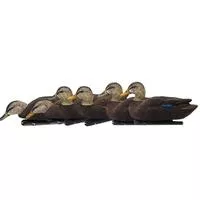 Avian- X Top Flight Flocked Bk Duck 6pk