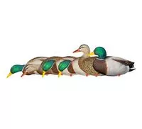Axp Full Body Mallards : Fusion Pack