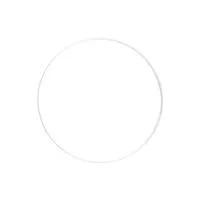 B3 Exact Lens- 4x