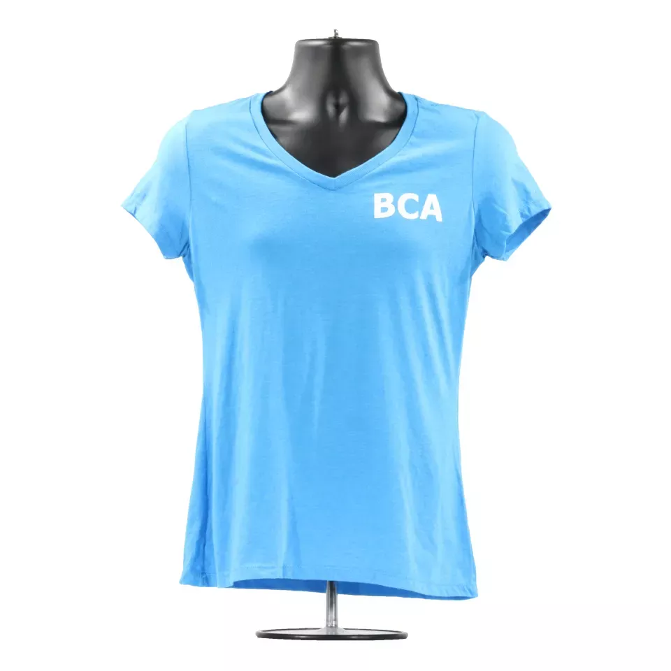 BCA Ladies V-Neck Tee | The District Perfect Blend