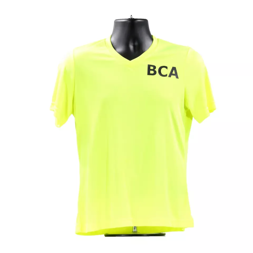 BCA Ladies V-Neck Tee | Team 365 V-neck