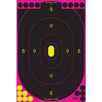 Birchwood Casey Shoot N C Pink Targets