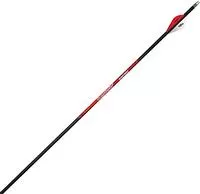 Black Eagle Rampage Fletched Arrows - 6- Pack- 350 Spine