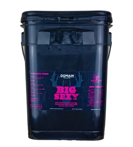 DOMAIN BSFP34BIG SEXY