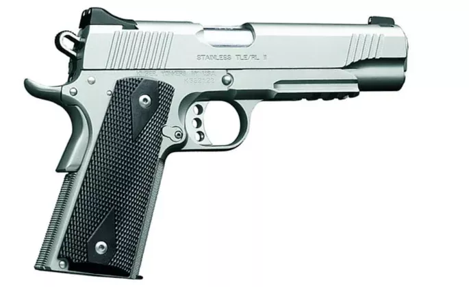 Kimber Stainless TLE/RL II 45ACP Centerfire Pistol with Night Sights