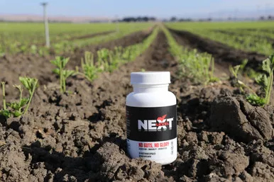 NextLevel No Guts, No Glory | Digestion + Immunity + Probiotic