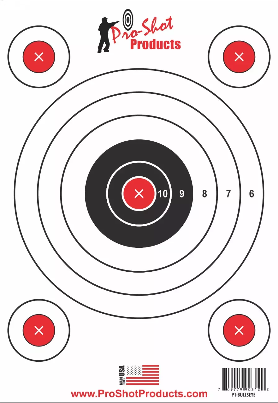 Pro-Shot SplatterShot Bullseye Targets, Heavy Paper Hanging 9 x 13, 6-Pack P1BULLSEYE