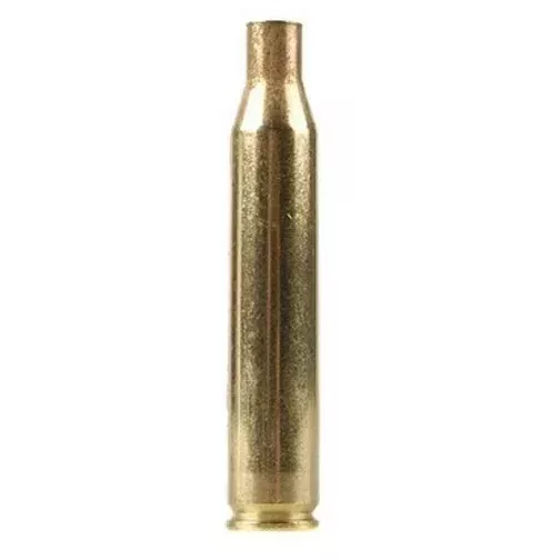 Remington 25-06 Remington Brass