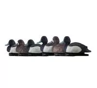 Topflight Blue Bills