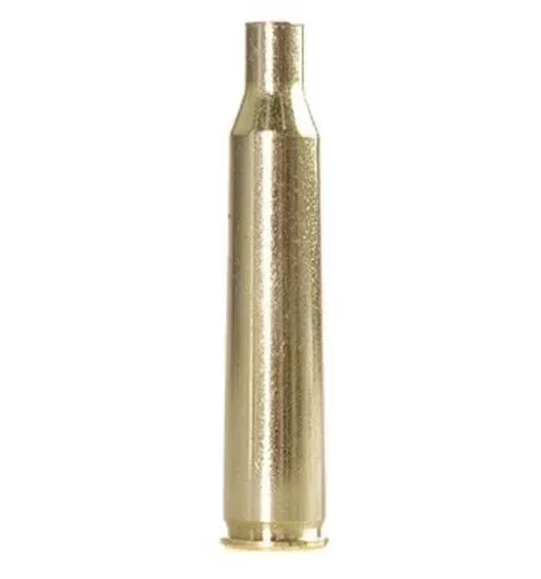 Winchester 220 Swift Brass Bag of 100