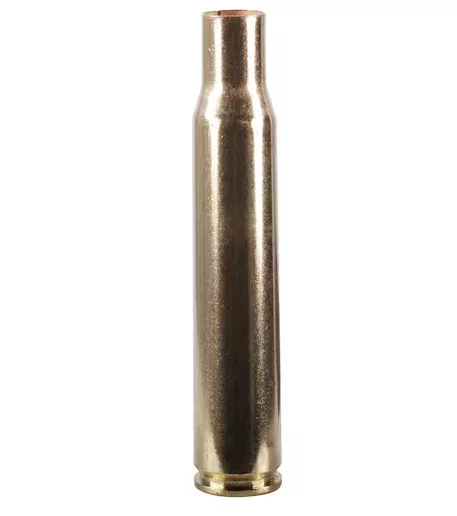 Winchester 30-06 Springfield Brass